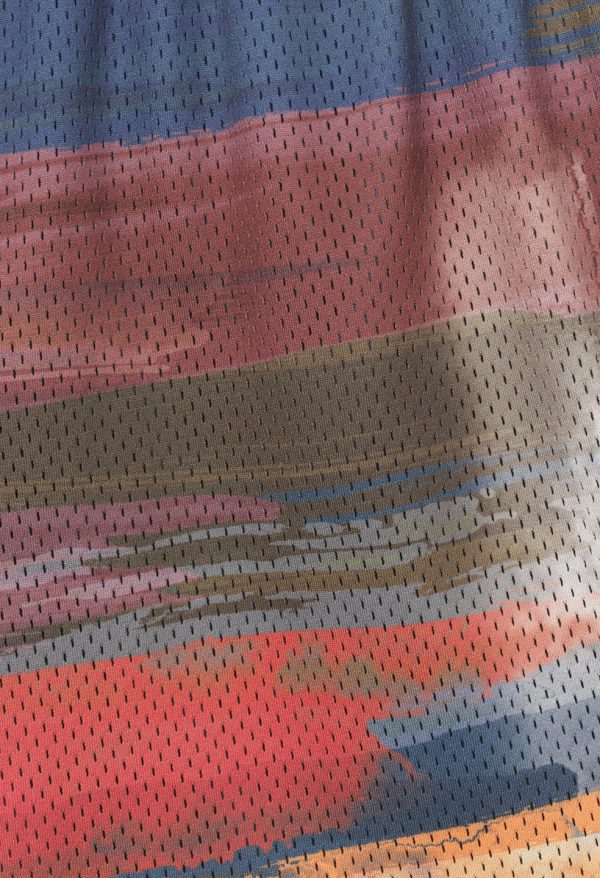 Practice Shorts / Brushstrokes